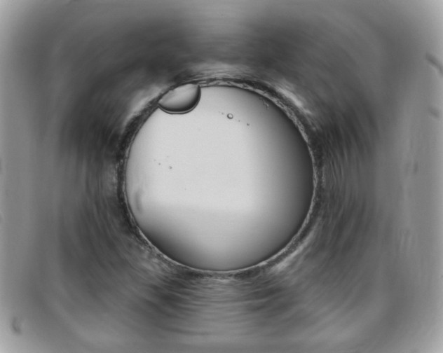 X0000095901309200801110756