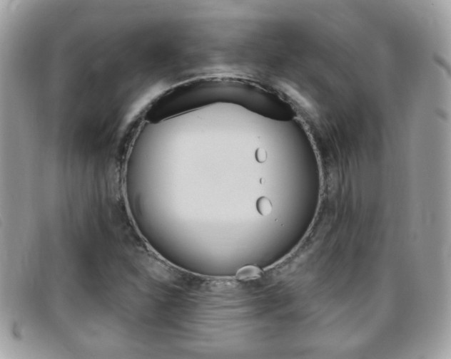 X0000095901310200801110756