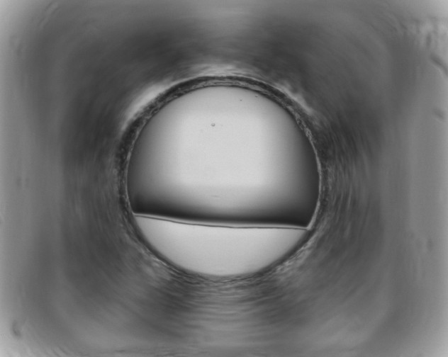 X0000095901311200801110756
