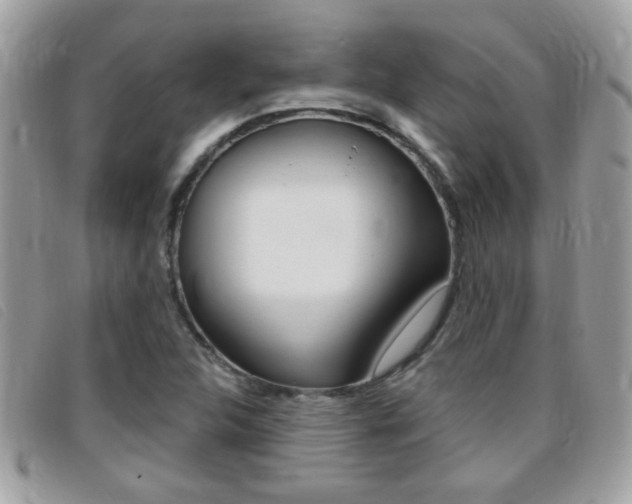 X0000095901312200801110756