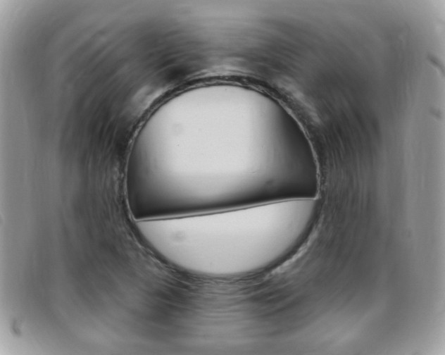 X0000095901313200801110756