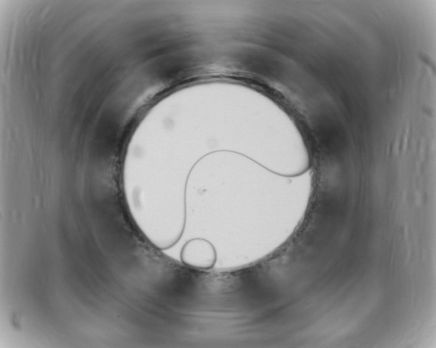 X0000095901314200801110756