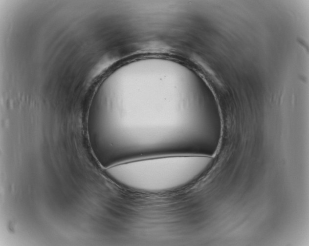 X0000095901315200801110756