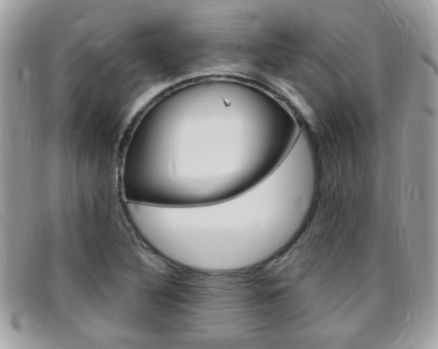 X0000095901316200801110756