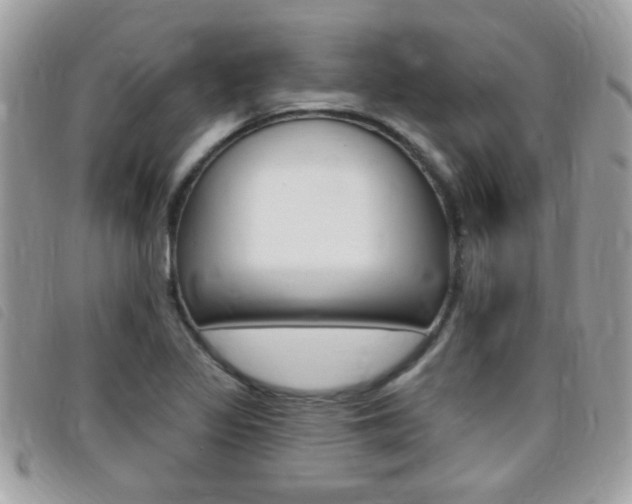X0000095901317200801110756