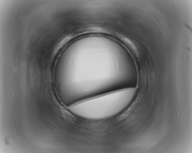X0000095901318200801110756