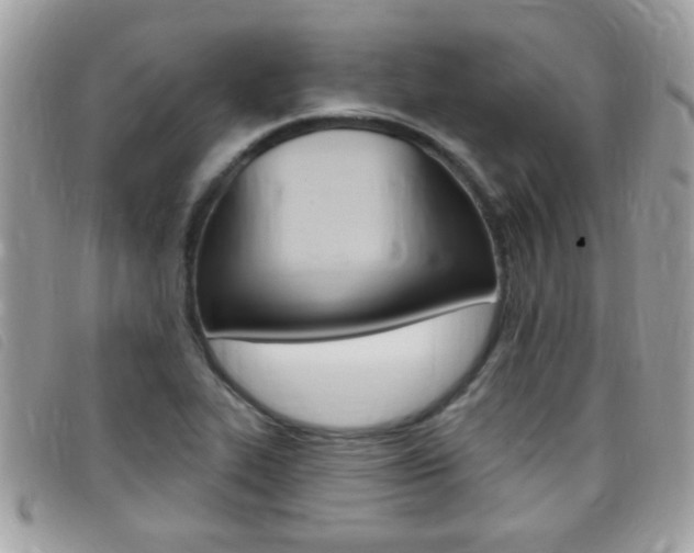 X0000095901319200801110756