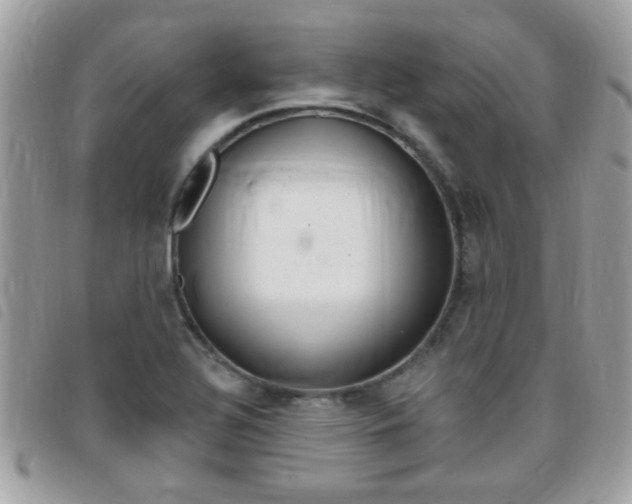 X0000095901320200801110756