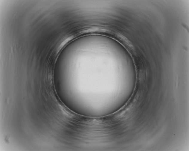 X0000095901321200801110756