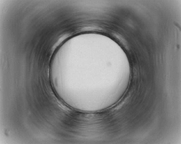 X0000095901322200801110756