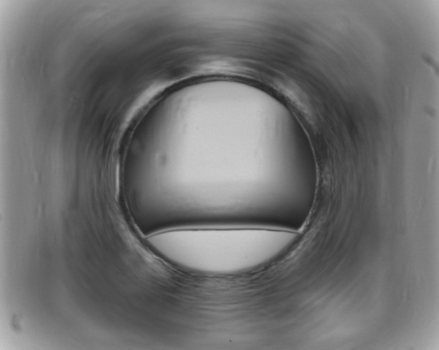 X0000095901323200801110756