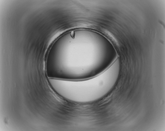 X0000095901324200801110756