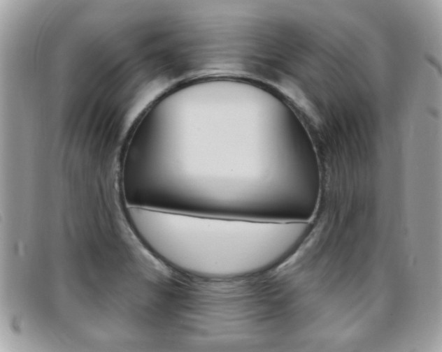 X0000095901325200801110756