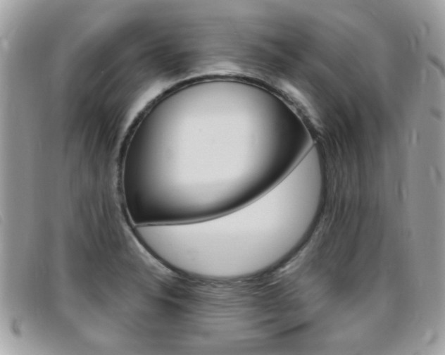 X0000095901326200801110756