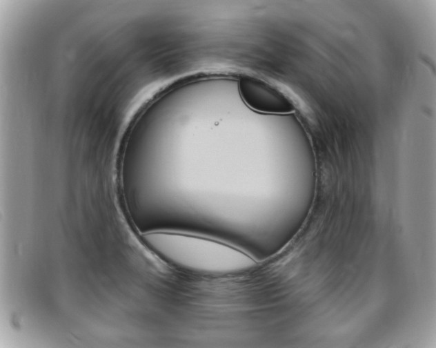 X0000095901327200801110756