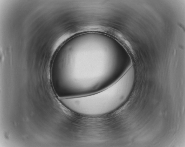 X0000095901328200801110756