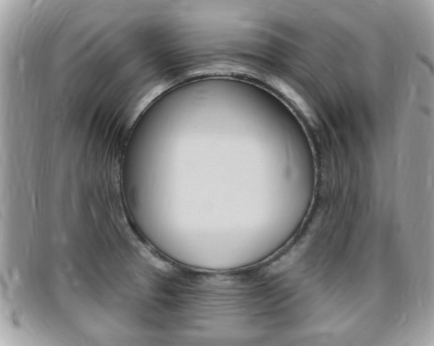 X0000095901329200801110756