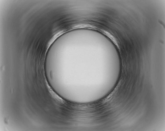 X0000095901330200801110756