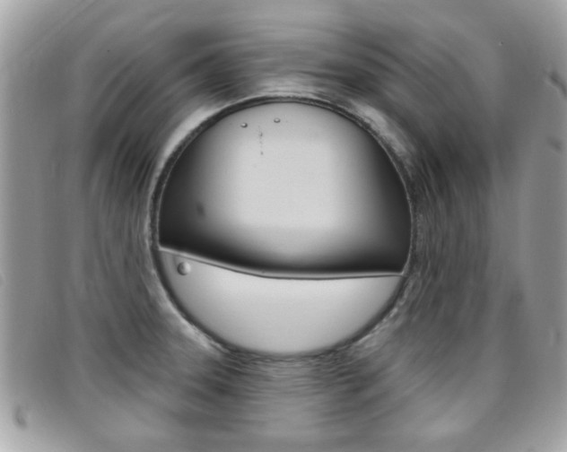 X0000095901331200801110756