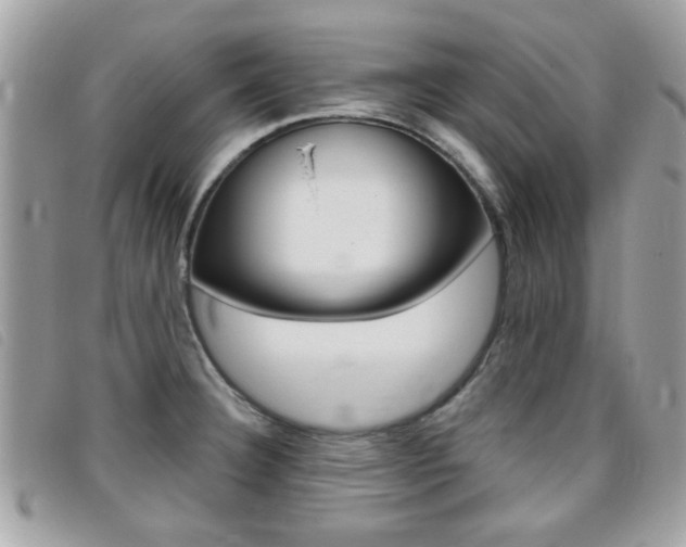 X0000095901332200801110756