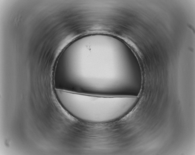 X0000095901333200801110756