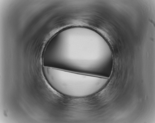 X0000095901335200801110756