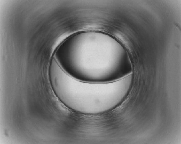X0000095901336200801110756