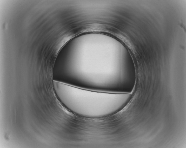 X0000095901337200801110756