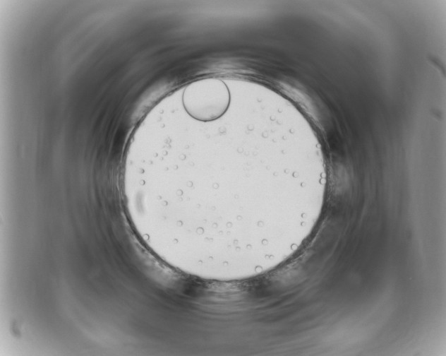 X0000095901338200801110756