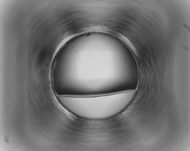 X0000095901339200801110756
