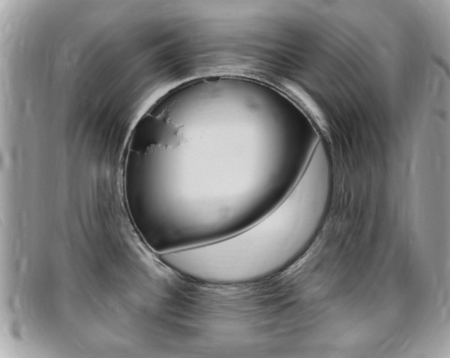 X0000095901340200801110756