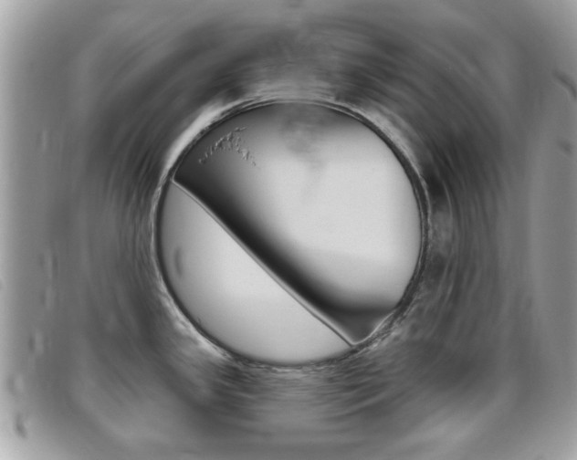X0000095901341200801110756
