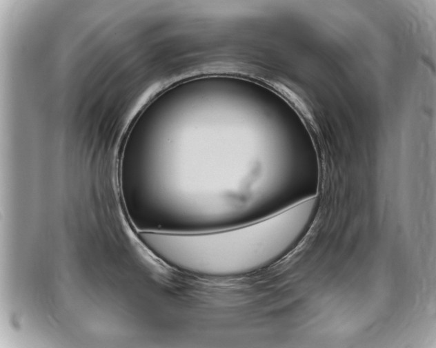 X0000095901342200801110756