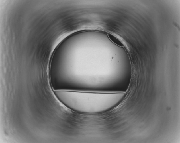 X0000095901343200801110756