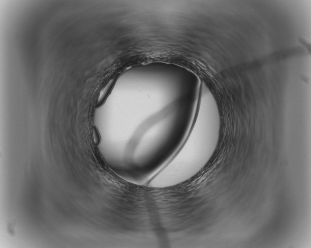 X0000095901345200801110756