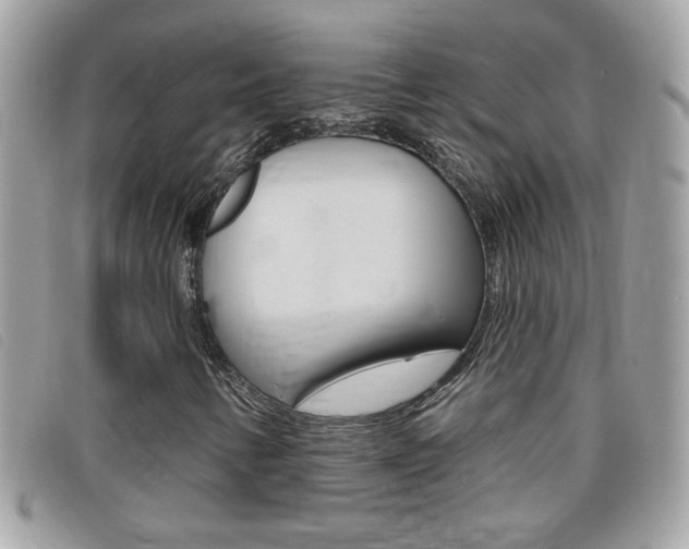 X0000095901346200801110756