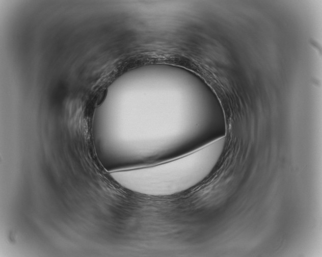X0000095901347200801110756