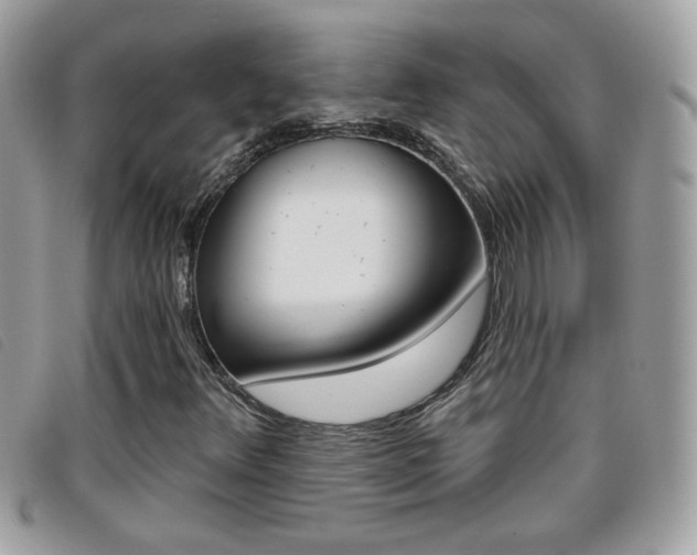 X0000095901348200801110756