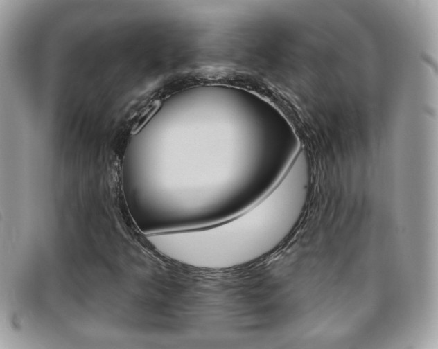 X0000095901349200801110756