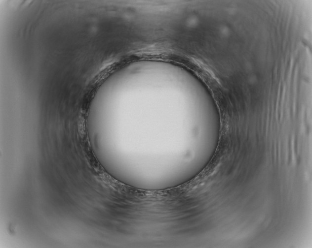 X0000095901350200801110756