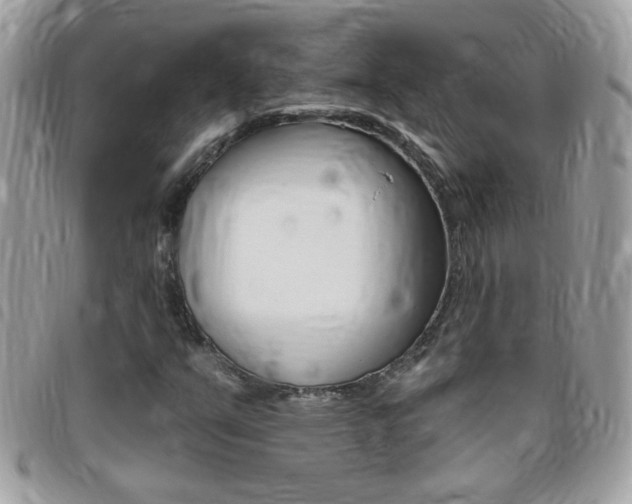 X0000095901351200801110756