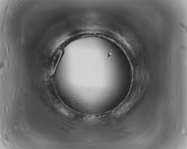 X0000095901352200801110756