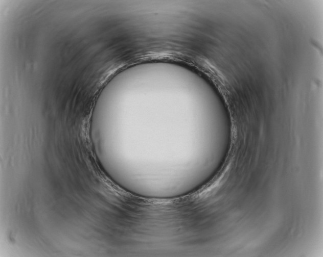 X0000095901353200801110756