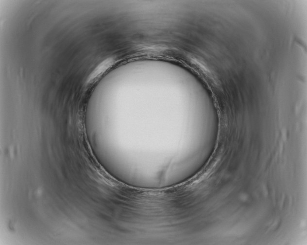X0000095901354200801110756