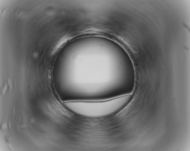 X0000095901355200801110756
