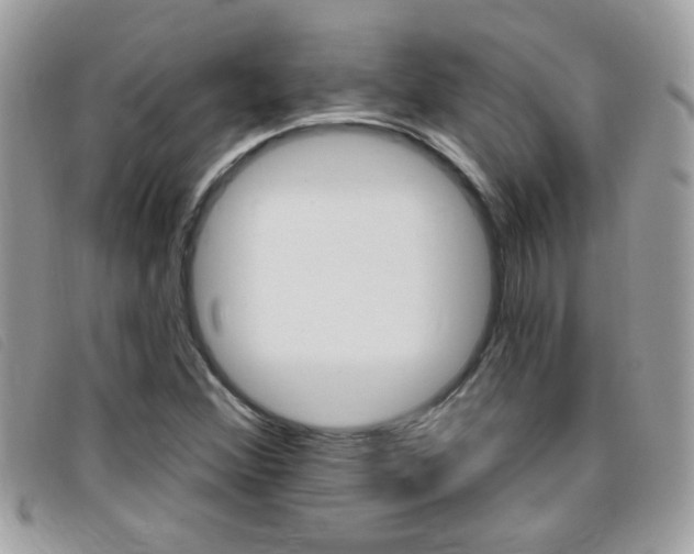 X0000095901356200801110756