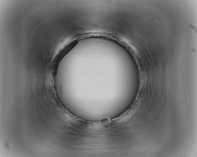 X0000095901357200801110756