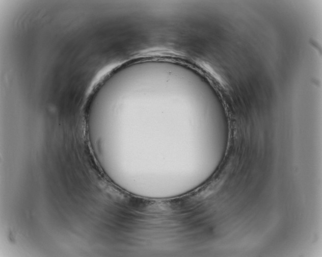 X0000095901358200801110756