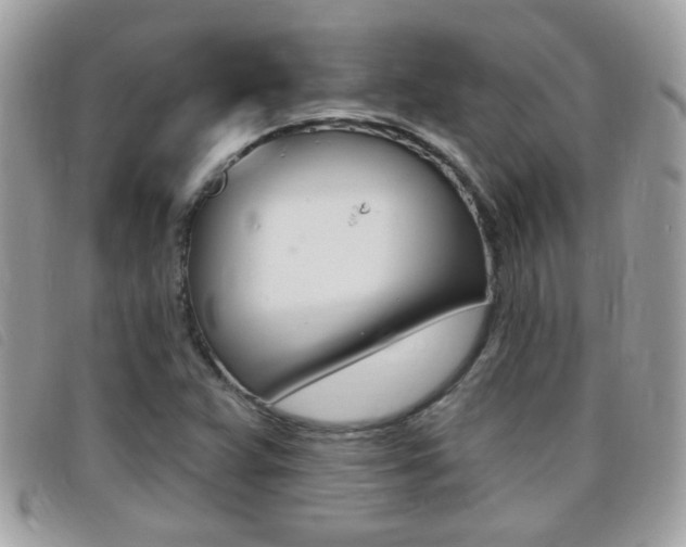 X0000095901359200801110756