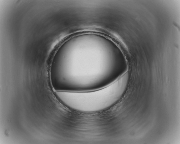 X0000095901360200801110756
